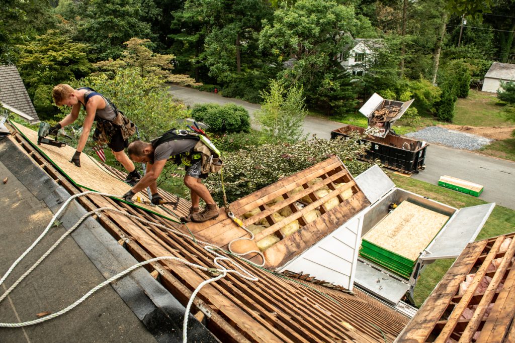 view from the roof