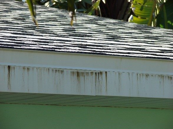 “Tobacco Juicing”: Dealing with Water Soluble Residue Found on Asphalt Roofing