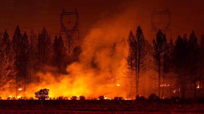 Fire-Resistant, Climate-Ready: Why Metal Matters in Modern Construction